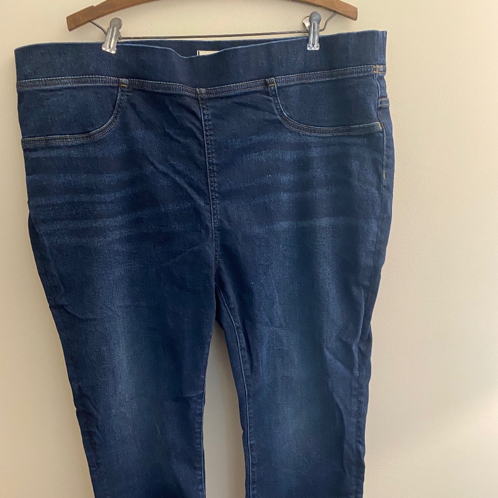 Madewell Size 22 Jeggings